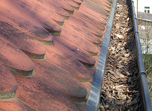 vom Laub verstopfte Dachrinne